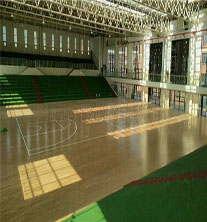 FʡxˮhһЌW@^ľذ尸